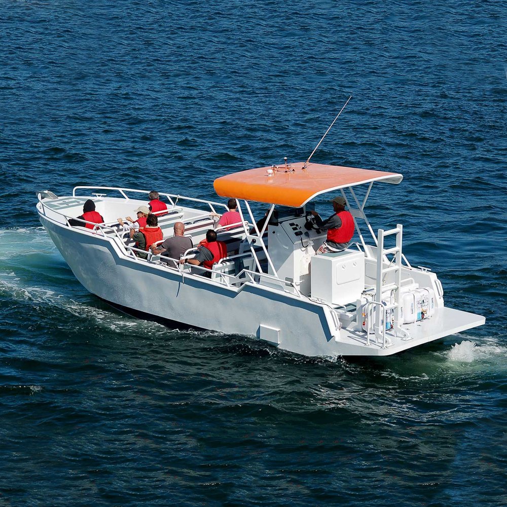 Ecocampor 22-Seater Aluminum Work and Tourist Boat with Hardtop New Condition Outboard Engine Diesel Fuel for Fishing